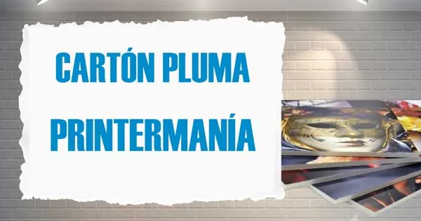 carton pluma